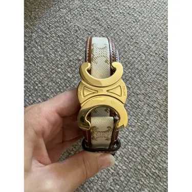 Cêlinë
Triomphe Ceinture
Multicolore