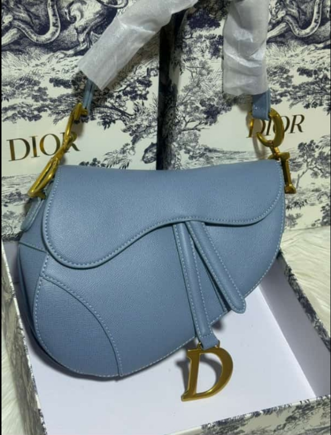 DI*R SACS A MAIN saddle - M0446CWUG94H porté épaule