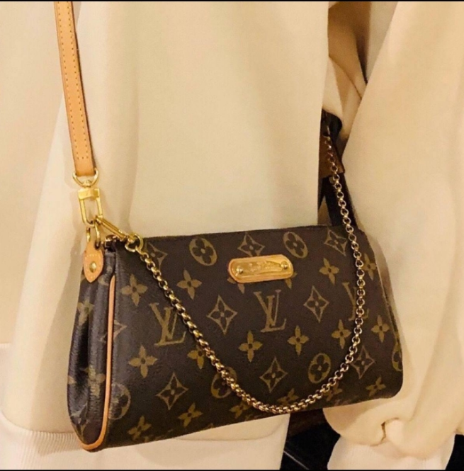 LV en toile Monogram