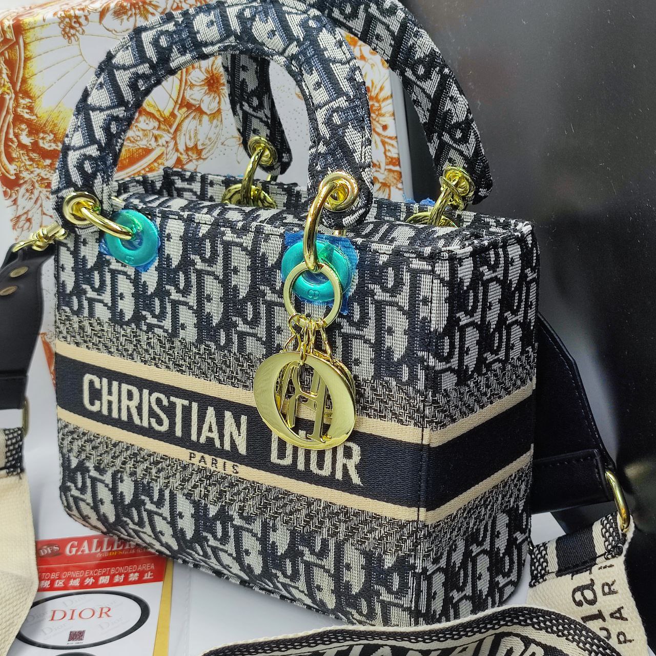 CHRISTI@N DIÔR Signature Embroided Lady Dior Bag
