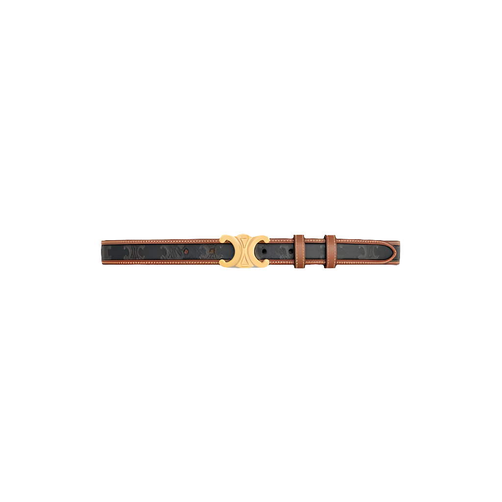 Cêlinë Medium Triomphe Belt in Triomphe Canvas and Calfskin