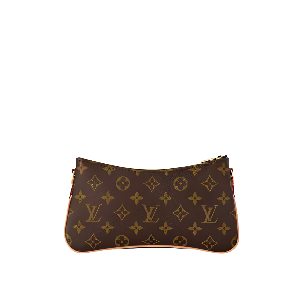 LV Pochette Liv