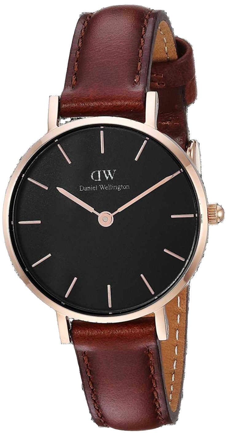DW Classic Petite DW00100225 Cuir Marron,