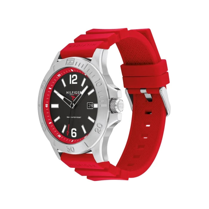 Montre Tommy Hilfiger pour homme 1710540