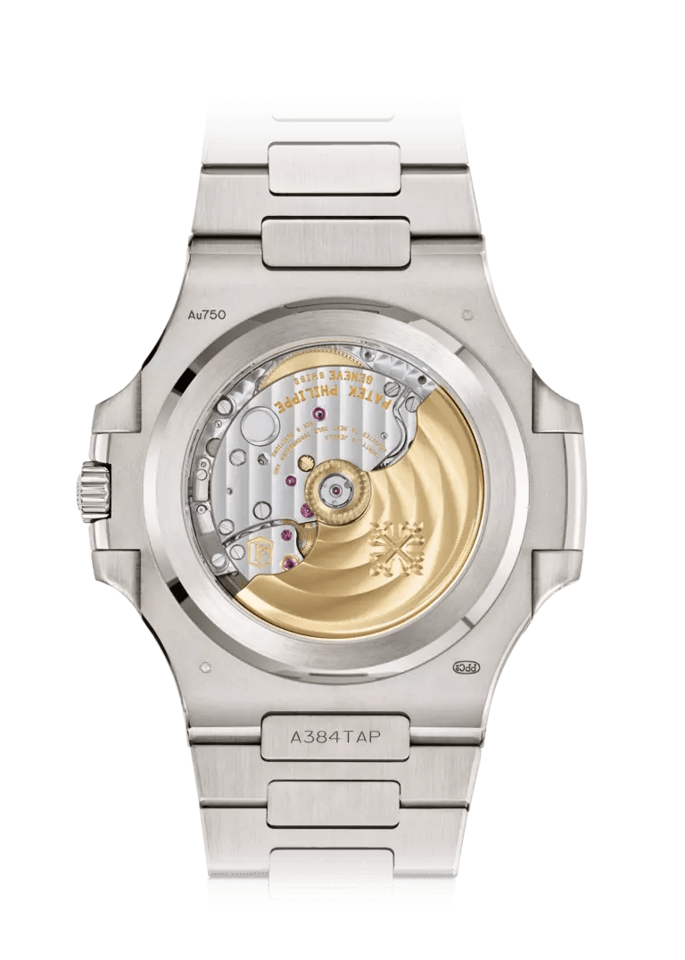 Montre Patek Philippe Silver Blue Dial