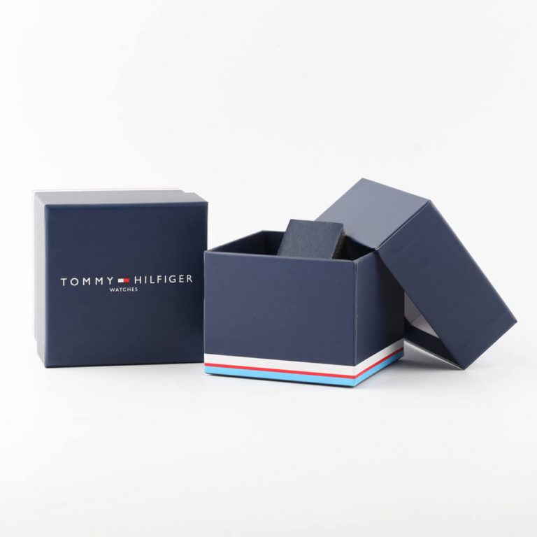 Montre TOMMY HILFIGER Aiden pour Homme, 1792082