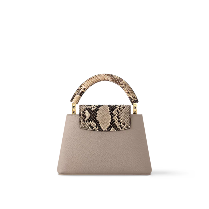LV Sac Capucines Mini