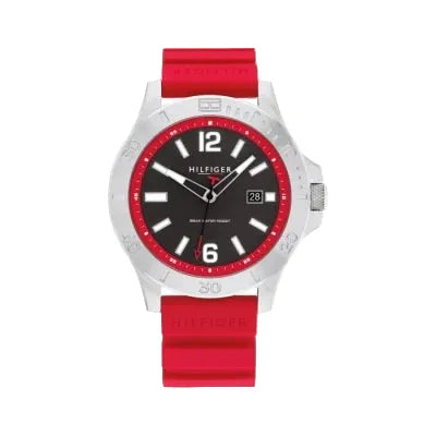 Montre Tommy Hilfiger pour homme 1710540