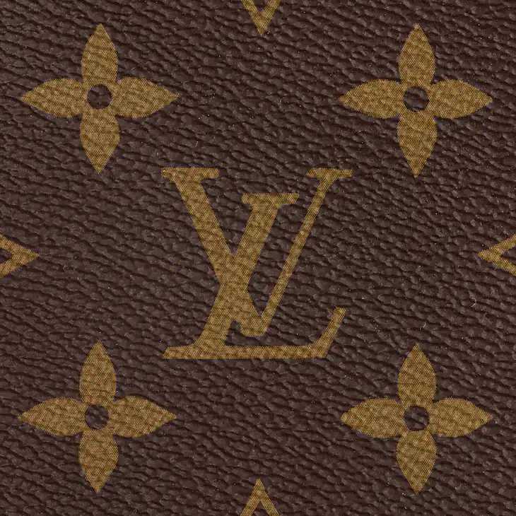 LV Sac CarryAll MM