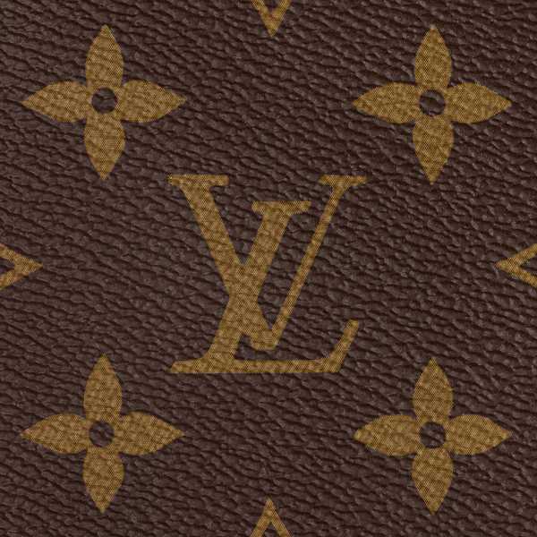 LV Sac Speedy Bandoulière 20