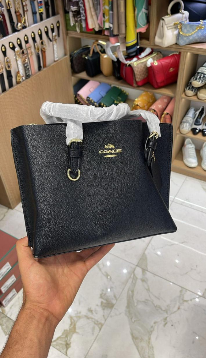 Co@ch Cabas Mollie 25 en toile exclusive