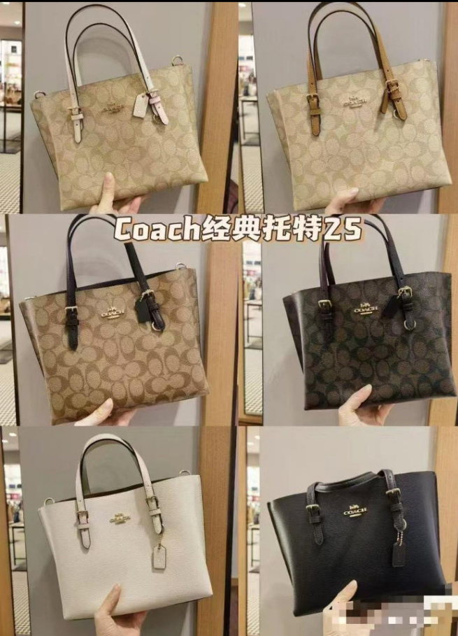 Co@ch Cabas Mollie 25 en toile exclusive