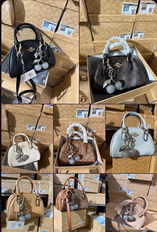 Co@ch Satchel Sydney