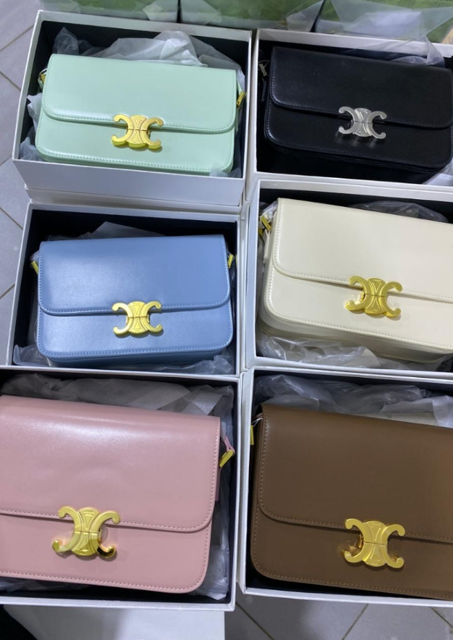Cêlinë CLASSIQUE TRIOMPHE BAG IN shiny calfskin