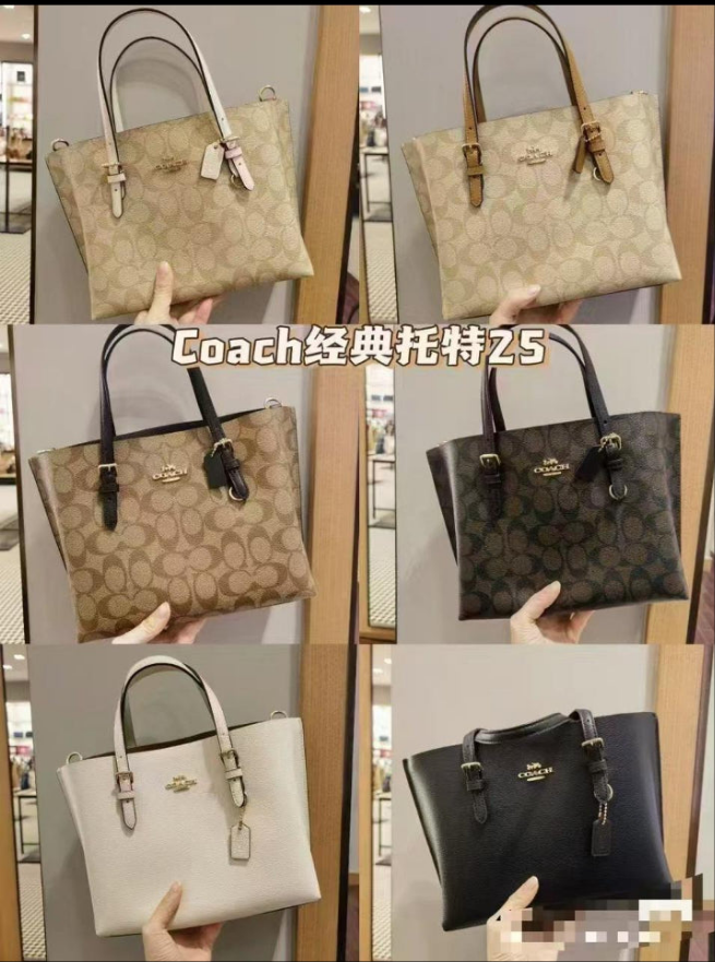 Co@ch Cabas Mollie 25 en toile exclusive