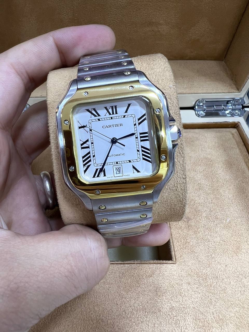 C@rtier Santos de C@rtier Large White