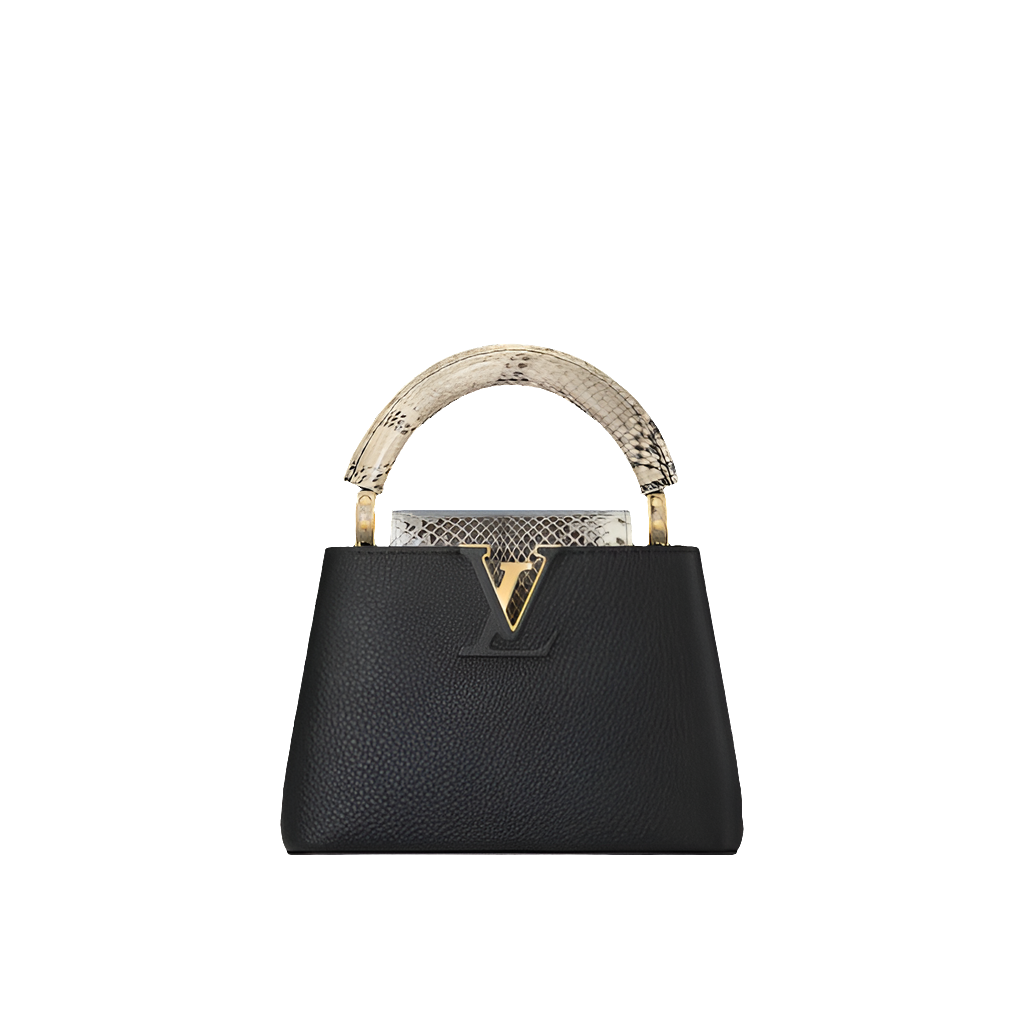 LV Sac Capucines Mini