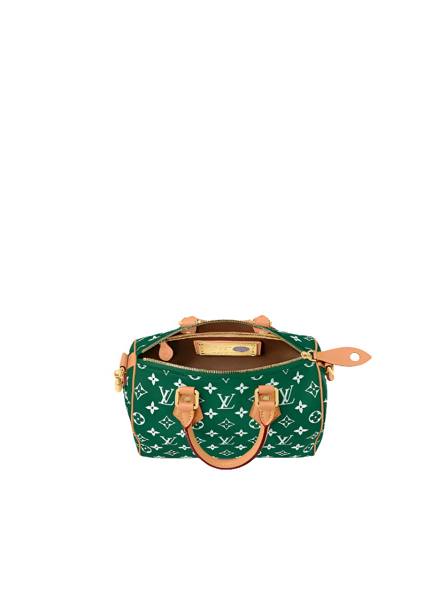 LV Speedy P9 Bandoulière 25