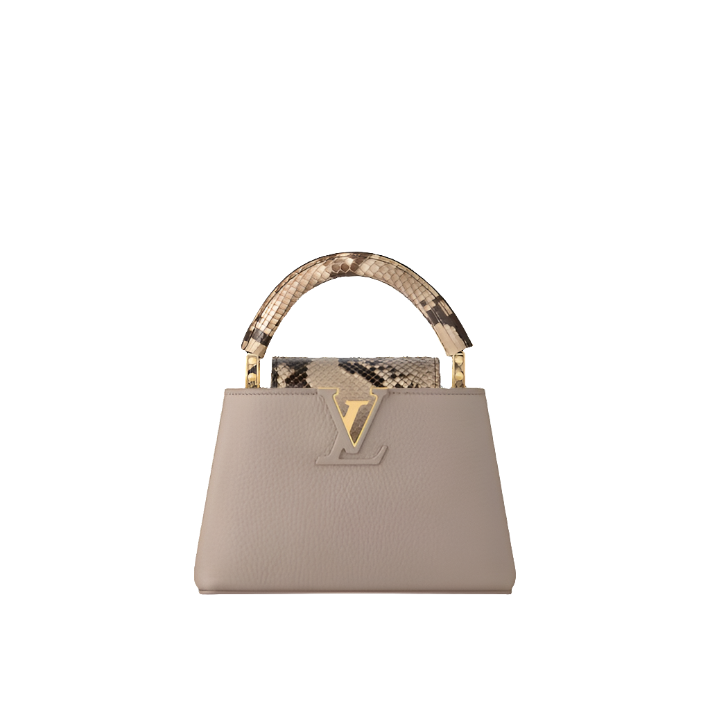 LV Sac Capucines Mini