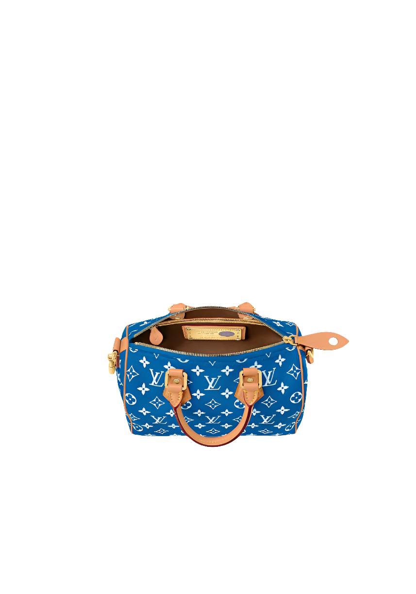 LV Speedy P9 Bandoulière 25