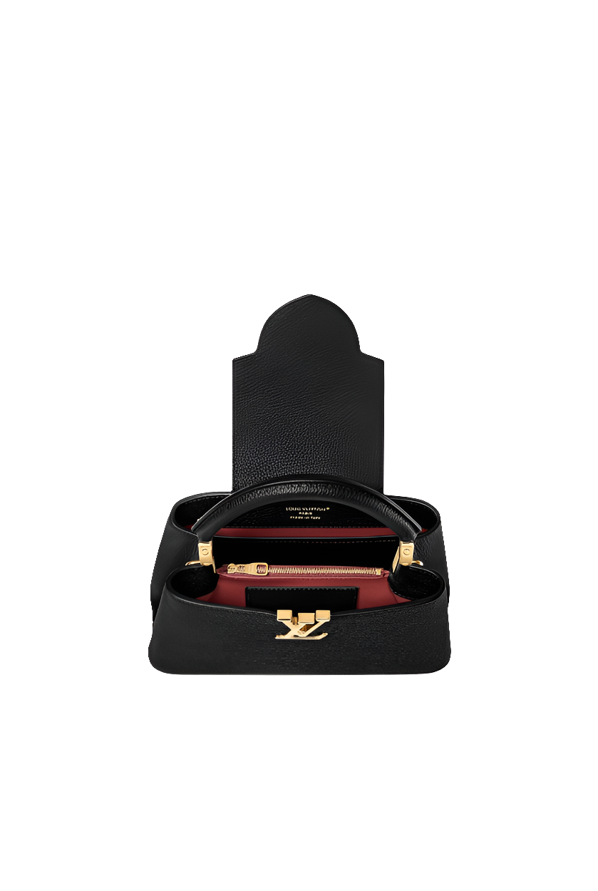 LV Sac Capucines BB