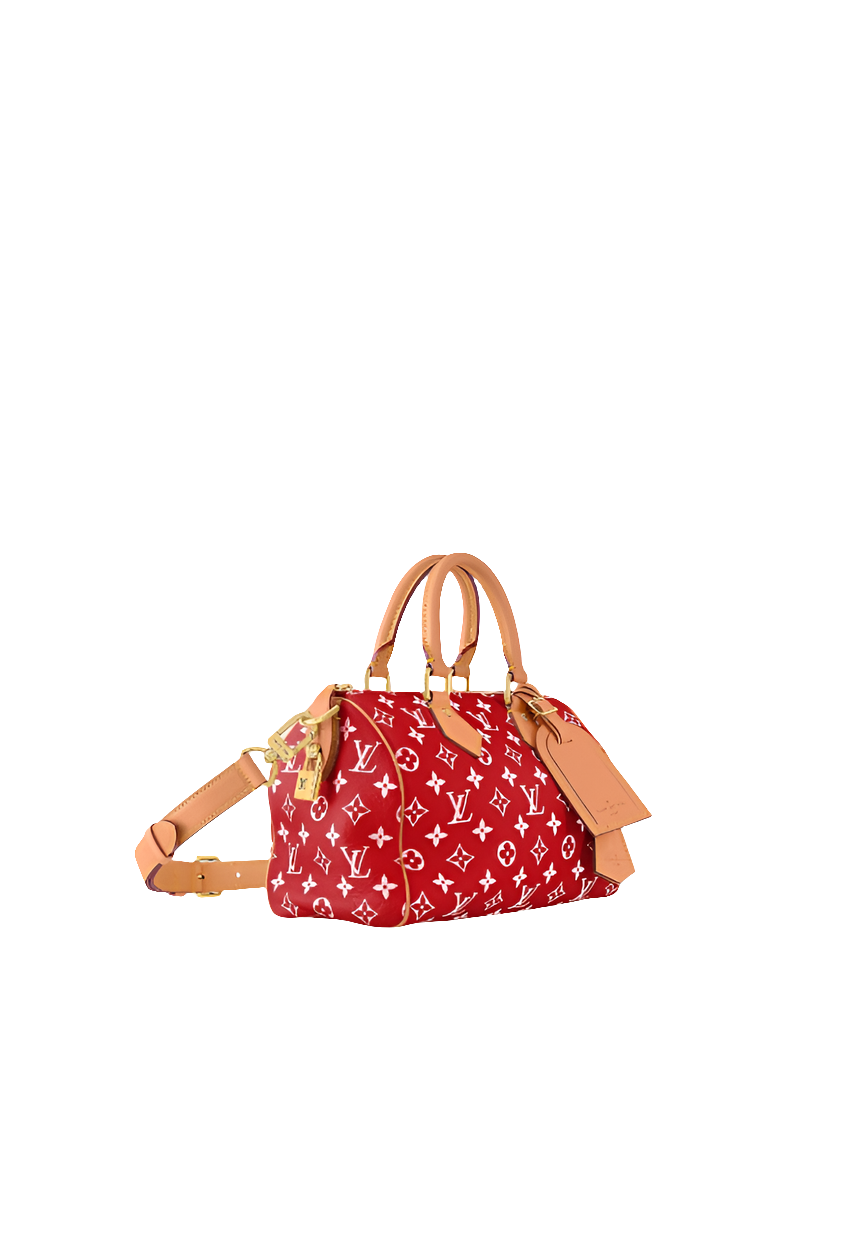 LV Speedy P9 Bandoulière 25