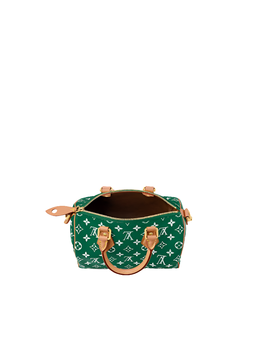 LV Speedy P9 Bandoulière 25