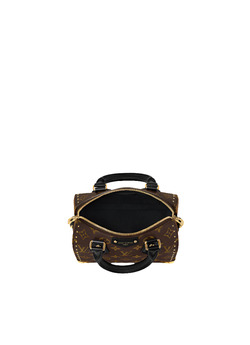 LV Sac Speedy Trunk 20