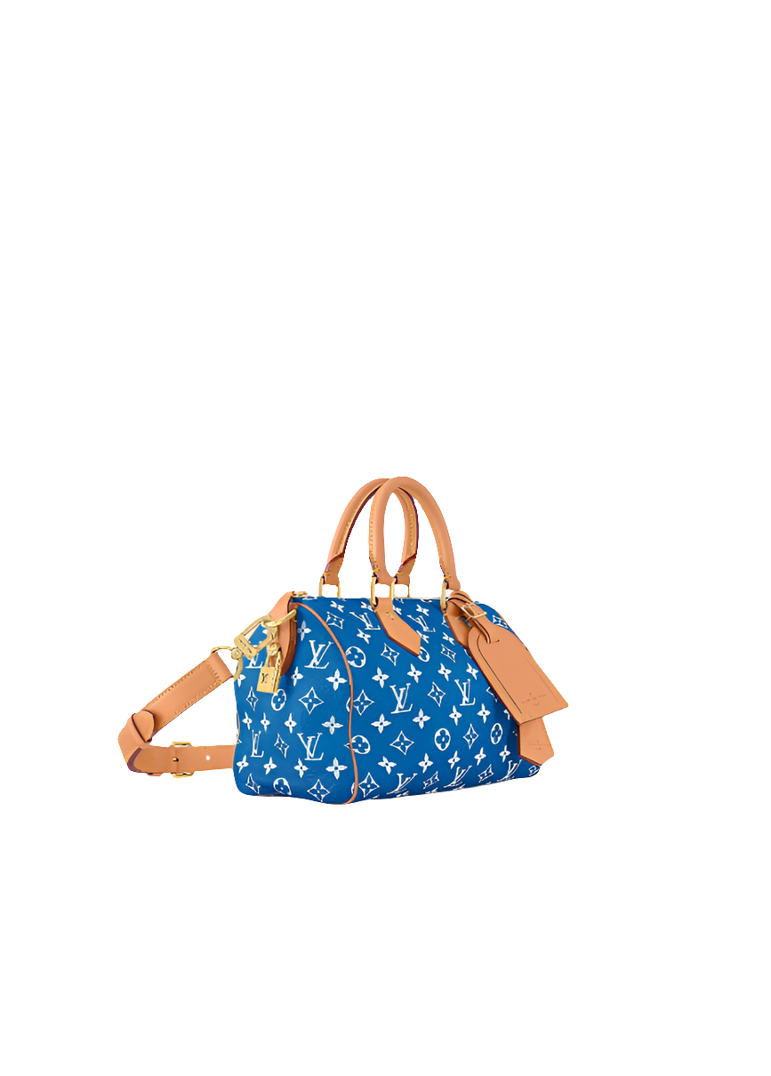 LV Speedy P9 Bandoulière 25