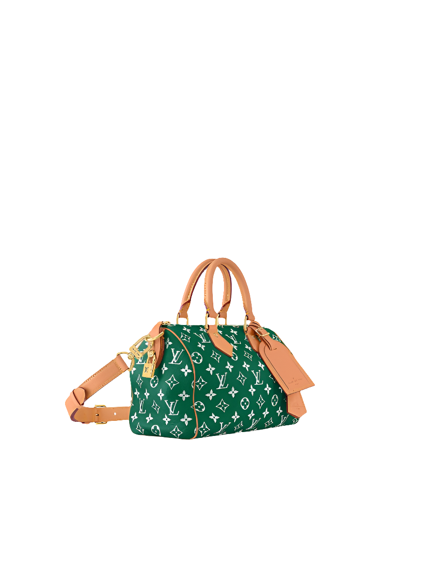 LV Speedy P9 Bandoulière 25