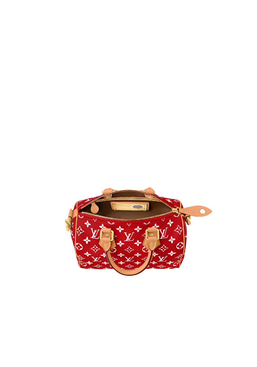 LV Speedy P9 Bandoulière 25
