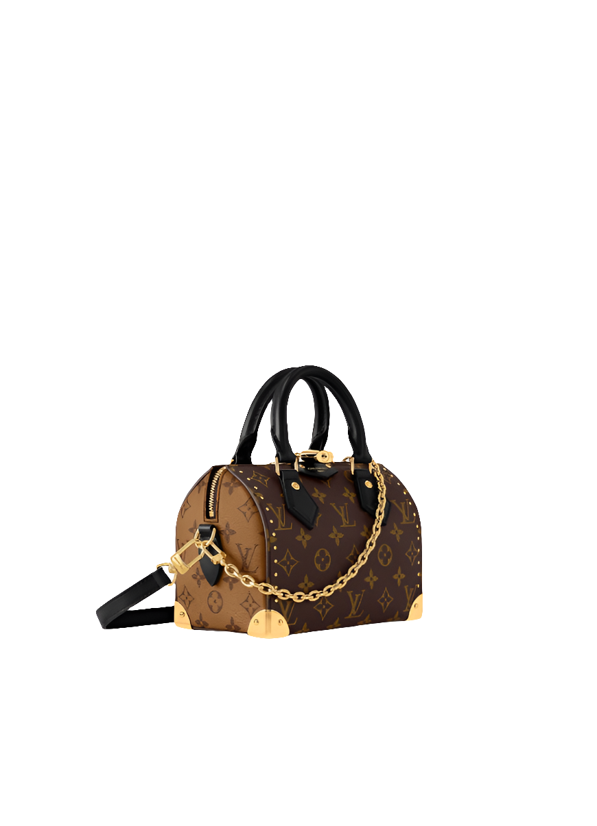 LV Sac Speedy Trunk 20