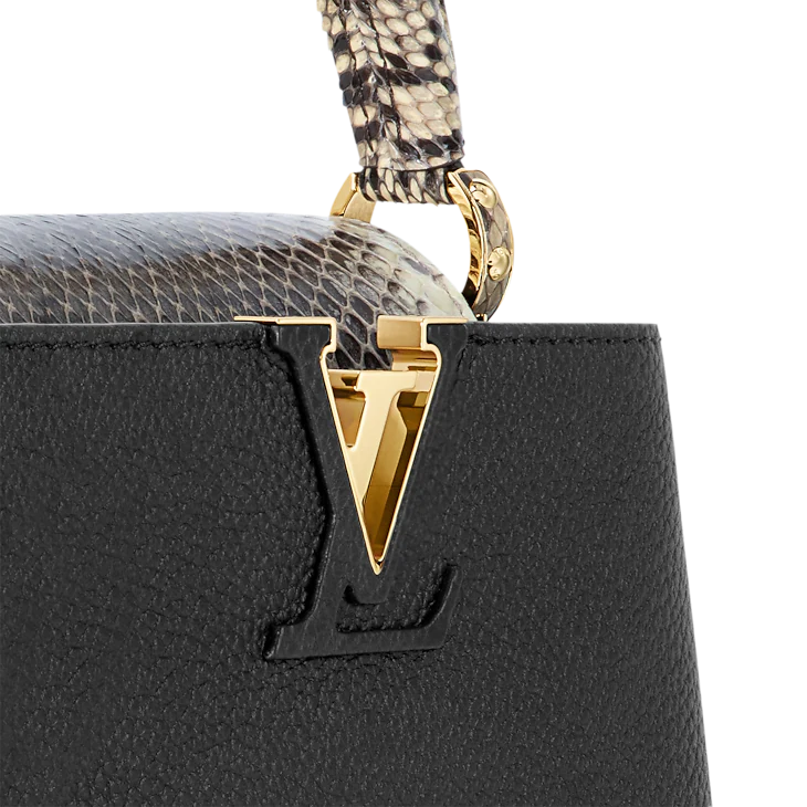 LV Sac Capucines Mini