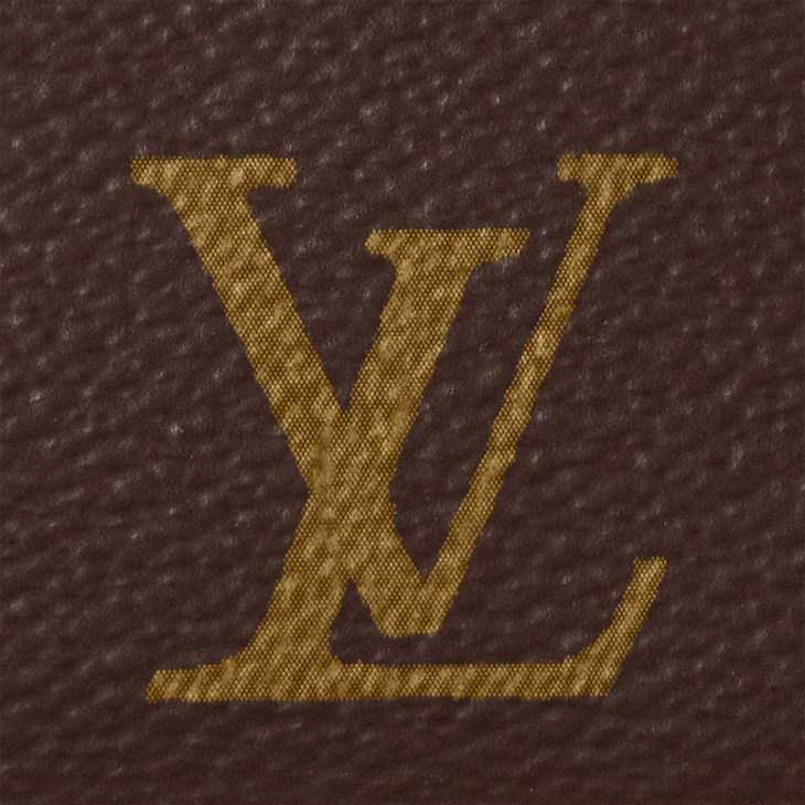LV Pochette Accessoires