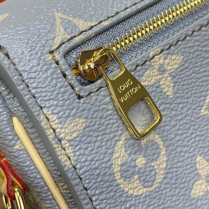 LV Pochette Métis East West En cuir