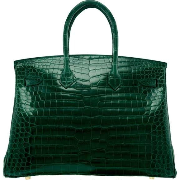 BIRKIN 35 HRMS CROCO VERT