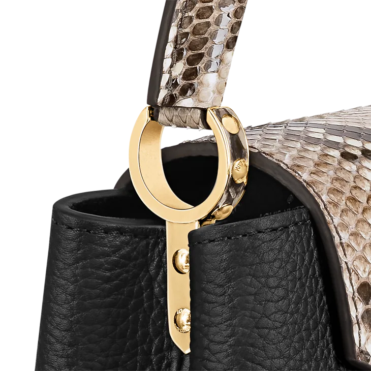 LV Sac Capucines Mini