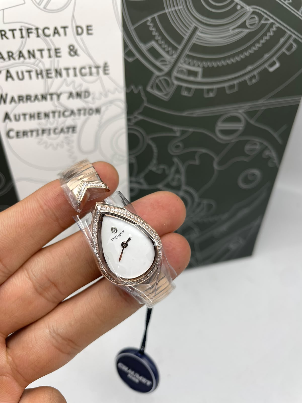 Montre Joséphine Aigrette