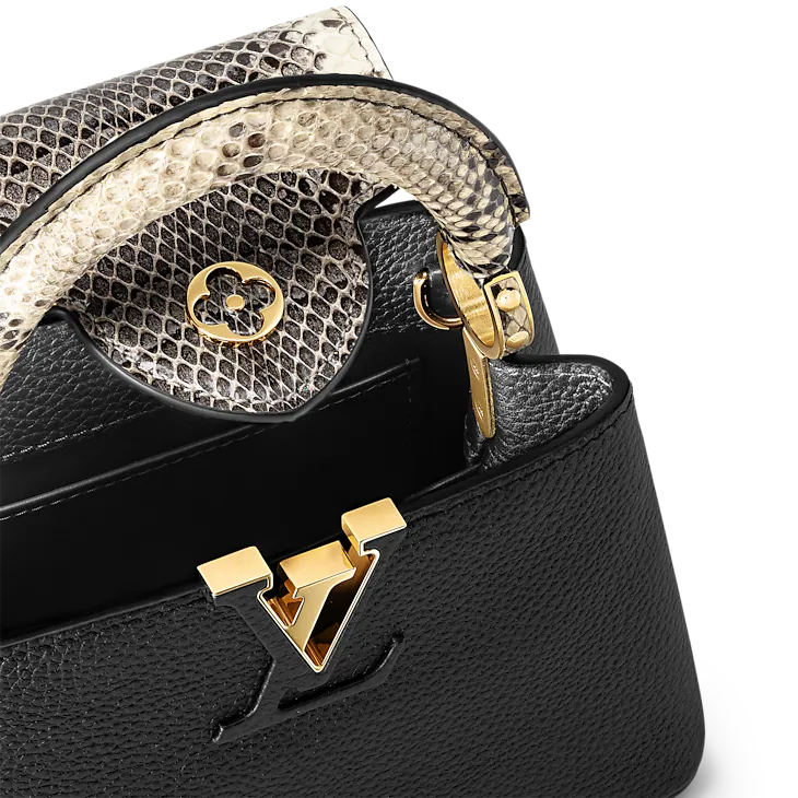 LV Sac Capucines Mini