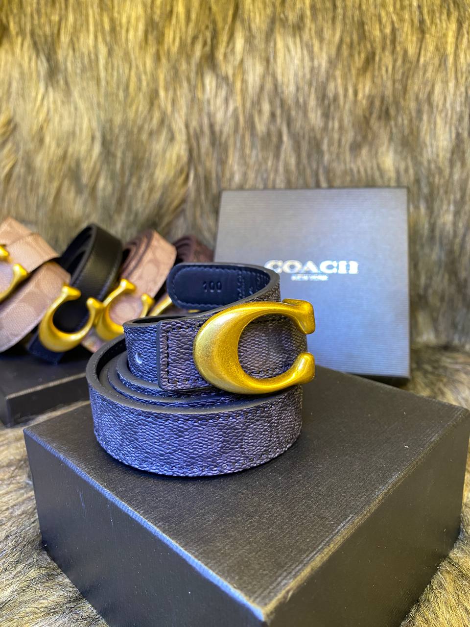 Co@ch Ceinture pour femme