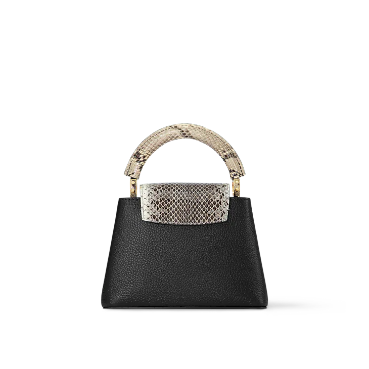 LV Sac Capucines Mini